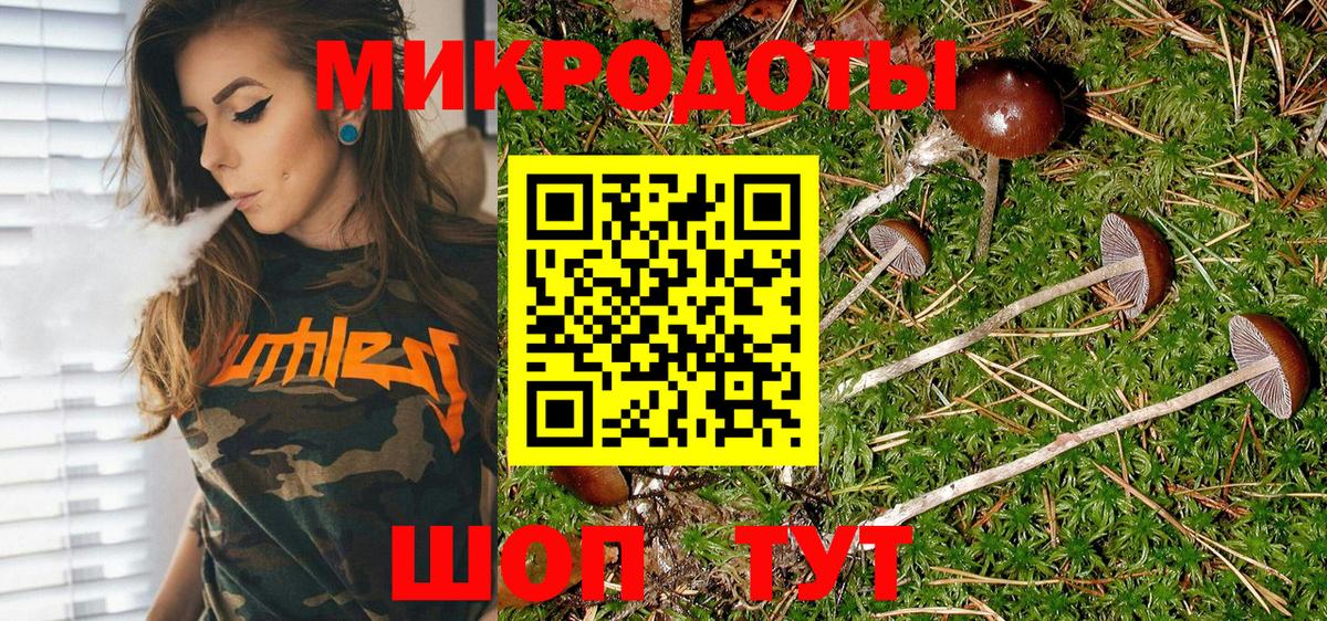 Галлюциногенные грибы GOLDEN TEACHER  Галлюциногенные грибы прущие грибы  Вход с VPN  Красногорск 